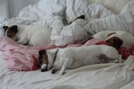 IMG 6391